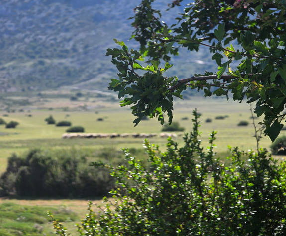 
shepherd-experience-nida-plateau-psiloritis-7.jpg