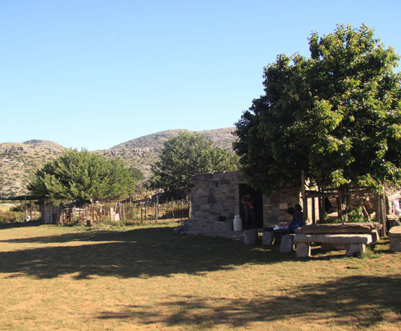 
shepherd-experience-nida-plateau-psiloritis-mitata-kokkines-plakes-4.jpg