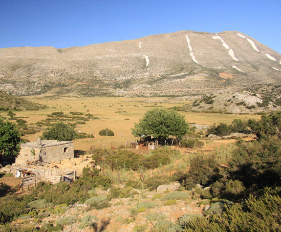
shepherd-experience-nida-plateau-psiloritis-mitata-kokkines-plakes-3.jpg