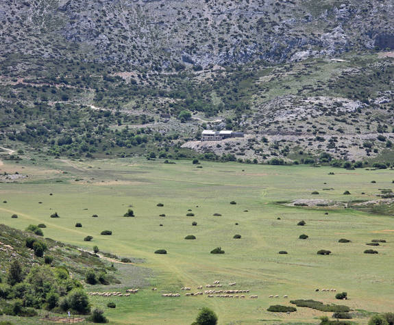 
shepherd-experience-nida-plateau-psiloritis-42.jpg