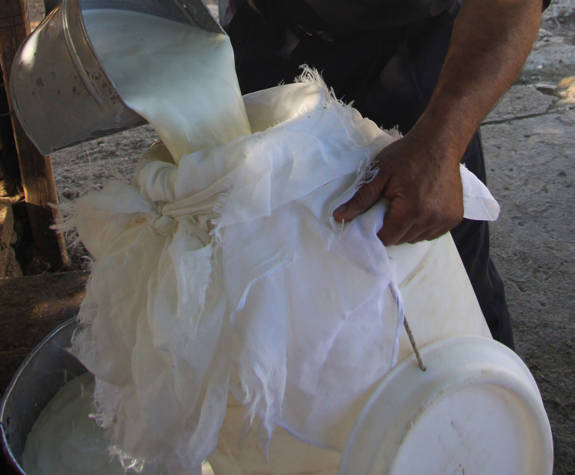 
shepherd-experience-nida-plateau-psiloritis-cheese-making-1.jpg